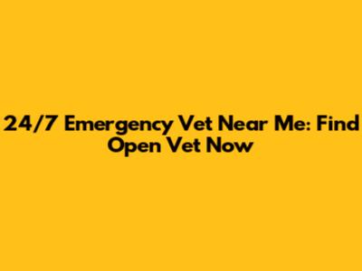 24/7 Emergency Vet Near Me: Find Open Vet Now