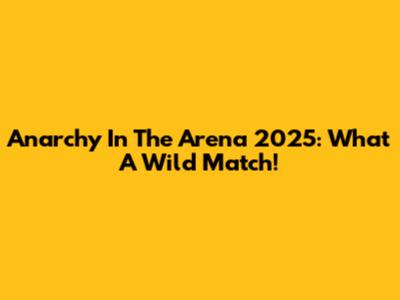 Anarchy In The Arena 2025: What A Wild Match!