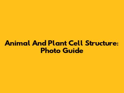 Animal And Plant Cell Structure: Photo Guide
