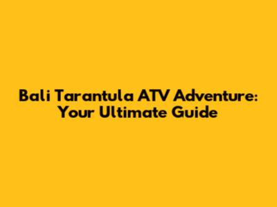 Bali Tarantula ATV Adventure: Your Ultimate Guide