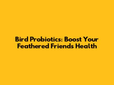 Bird Probiotics: Boost Your Feathered Friend's Health