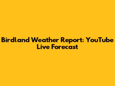Birdland Weather Report: YouTube Live Forecast