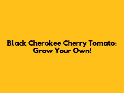Black Cherokee Cherry Tomato: Grow Your Own!