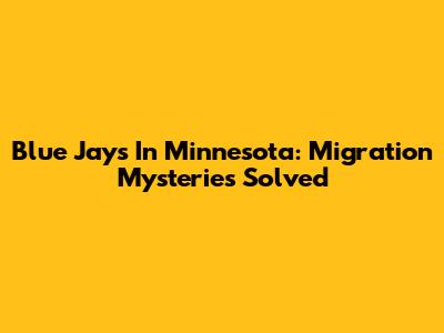 Blue Jays In Minnesota: Migration Mysteries Solved