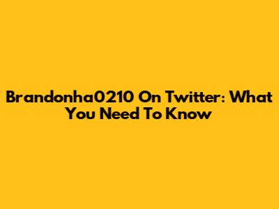 Brandonha0210 On Twitter: What You Need To Know