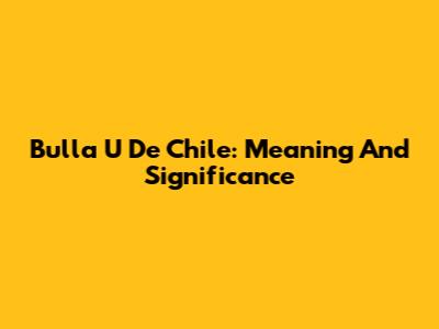 Bulla U De Chile: Meaning And Significance