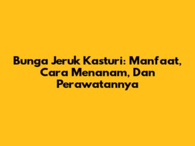 Bunga Jeruk Kasturi: Manfaat, Cara Menanam, Dan Perawatannya