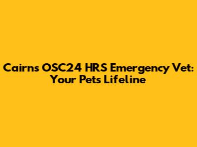 Cairns' OSC24 HRS Emergency Vet: Your Pet's Lifeline