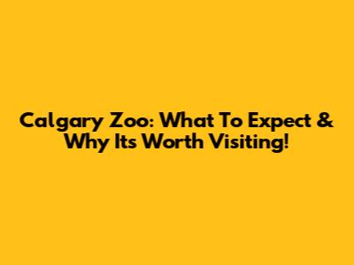 Calgary Zoo: What To Expect & Why It's Worth Visiting!