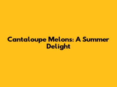 Cantaloupe Melons: A Summer Delight