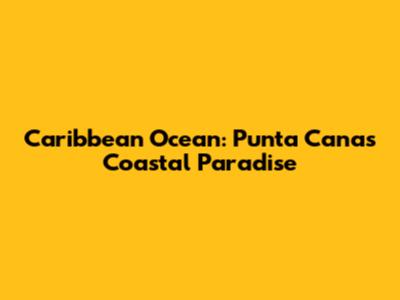 Caribbean Ocean: Punta Cana's Coastal Paradise