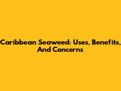 Caribbean Seaweed: Uses, Benefits, And Concerns