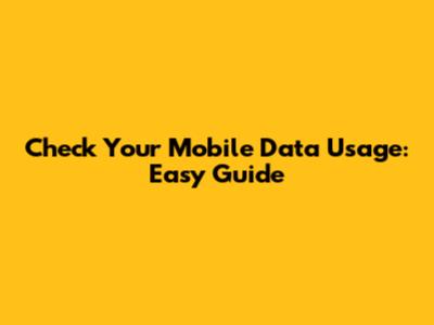 Check Your Mobile Data Usage: Easy Guide