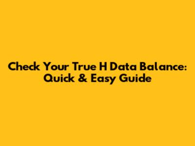 Check Your True H Data Balance: Quick & Easy Guide