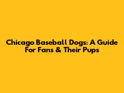 Chicago Baseball Dogs: A Guide For Fans & Their Pups