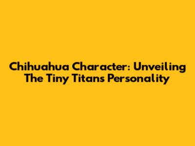 Chihuahua Character: Unveiling The Tiny Titan's Personality