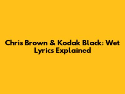 Chris Brown & Kodak Black: "Wet" Lyrics Explained