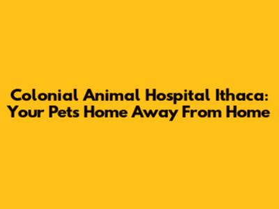 Colonial Animal Hospital Ithaca: Your Pet's Home Away From Home