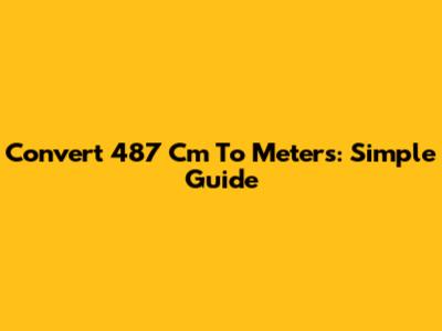 Convert 487 Cm To Meters: Simple Guide