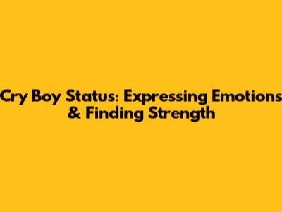 Cry Boy Status: Expressing Emotions & Finding Strength