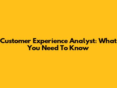 Customer Experience Analyst: What You Need To Know
