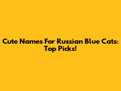 Cute Names For Russian Blue Cats: Top Picks!