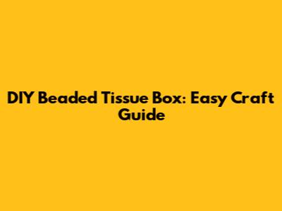 DIY Beaded Tissue Box: Easy Craft Guide