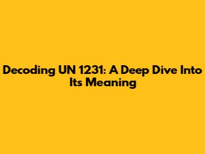 Decoding UN 1231: A Deep Dive Into Its Meaning