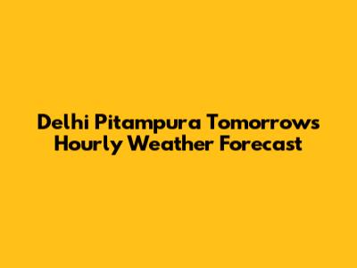 Delhi Pitampura Tomorrow's Hourly Weather Forecast