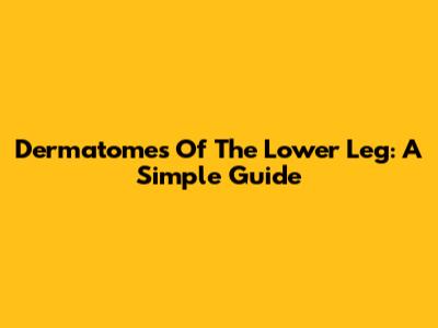 Dermatomes Of The Lower Leg: A Simple Guide
