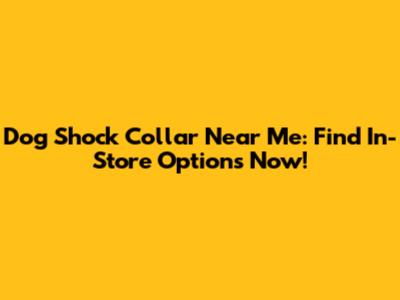 Dog Shock Collar Near Me: Find In-Store Options Now!