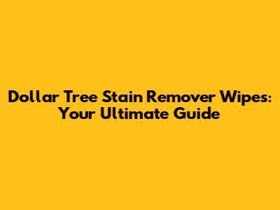 Dollar Tree Stain Remover Wipes: Your Ultimate Guide