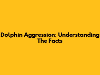 Dolphin Aggression: Understanding The Facts