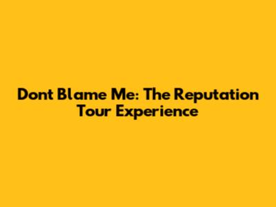 Don't Blame Me: The Reputation Tour Experience