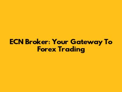 ECN Broker: Your Gateway To Forex Trading