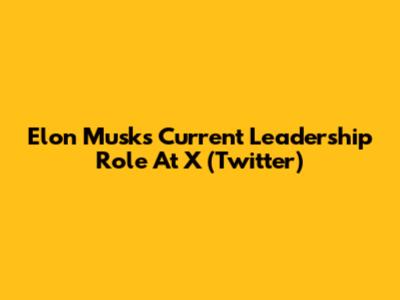 Elon Musk's Current Leadership Role At X (Twitter)
