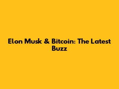 Elon Musk & Bitcoin: The Latest Buzz