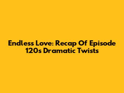 Endless Love: Recap Of Episode 120's Dramatic Twists