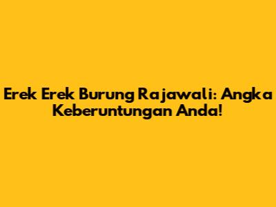 Erek Erek Burung Rajawali: Angka Keberuntungan Anda!