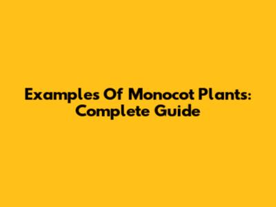 Examples Of Monocot Plants: Complete Guide