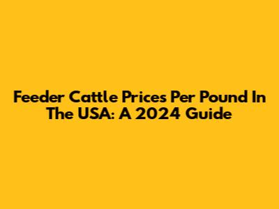 Feeder Cattle Prices Per Pound In The USA: A 2024 Guide