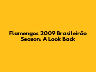 Flamengo's 2009 Brasileirão Season: A Look Back