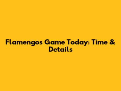 Flamengo's Game Today: Time & Details
