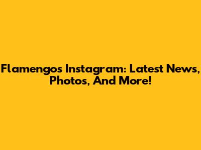Flamengo's Instagram: Latest News, Photos, And More!