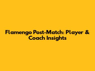 Flamengo Post-Match: Player & Coach Insights