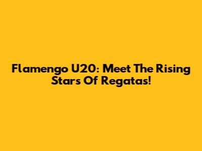 Flamengo U20: Meet The Rising Stars Of Regatas!