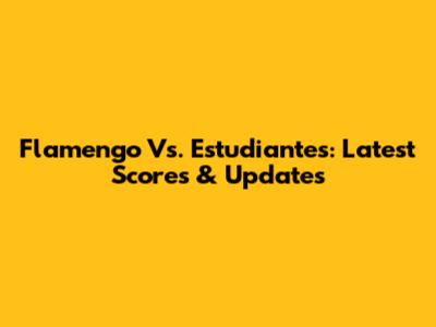 Flamengo Vs. Estudiantes: Latest Scores & Updates