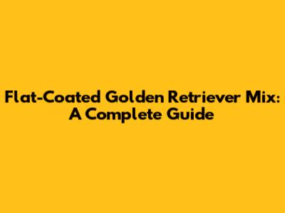 Flat-Coated Golden Retriever Mix: A Complete Guide