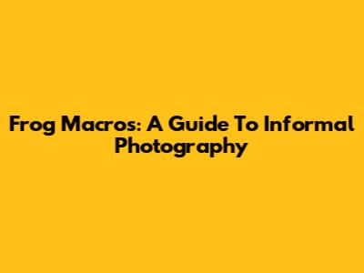 Frog Macros: A Guide To Informal Photography