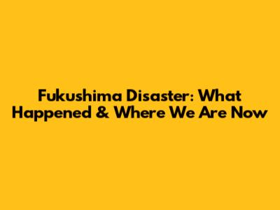 Fukushima Disaster: What Happened & Where We Are Now